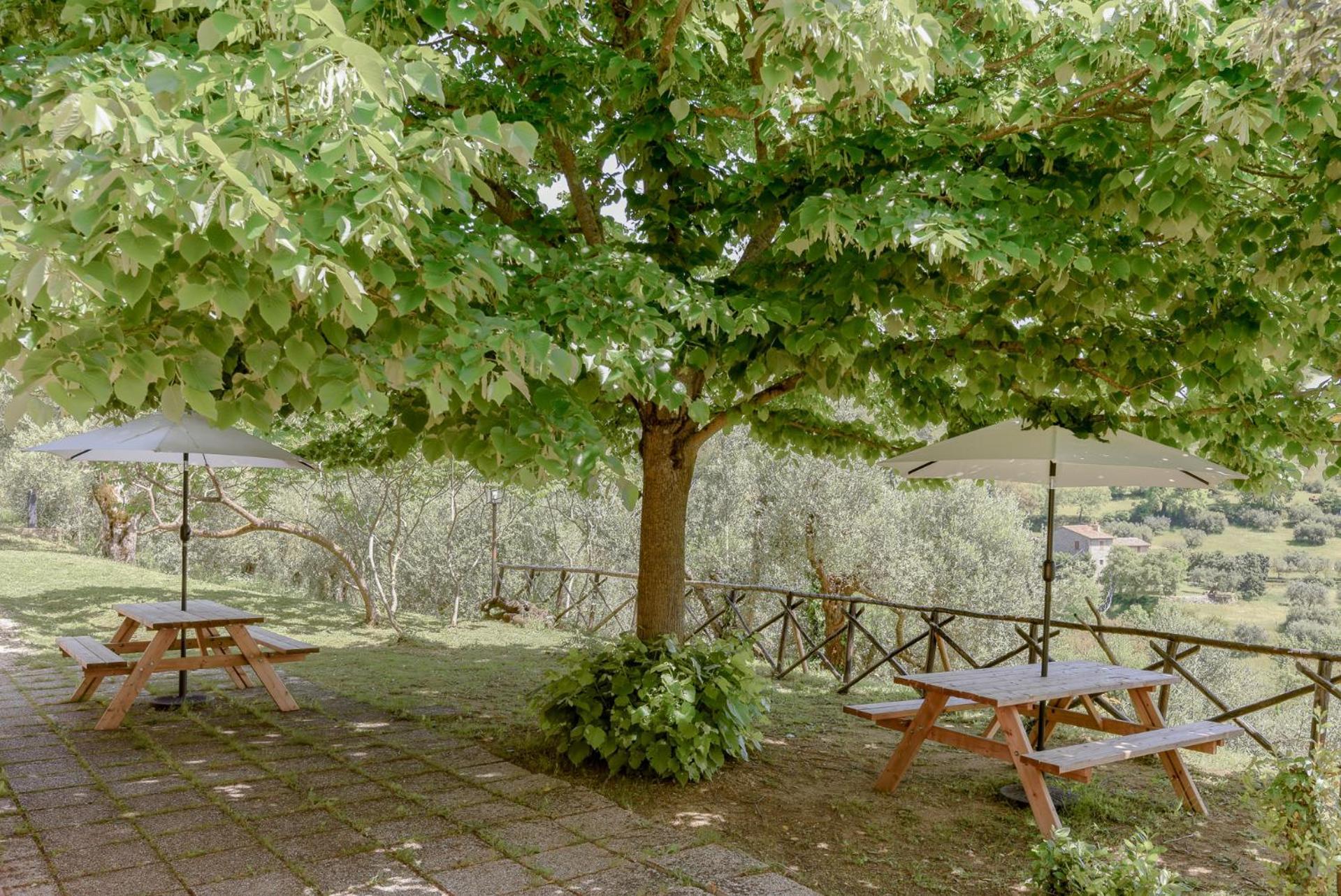 Agriturismo Il Mulino Delle Canutole マジョーネ エクステリア 写真