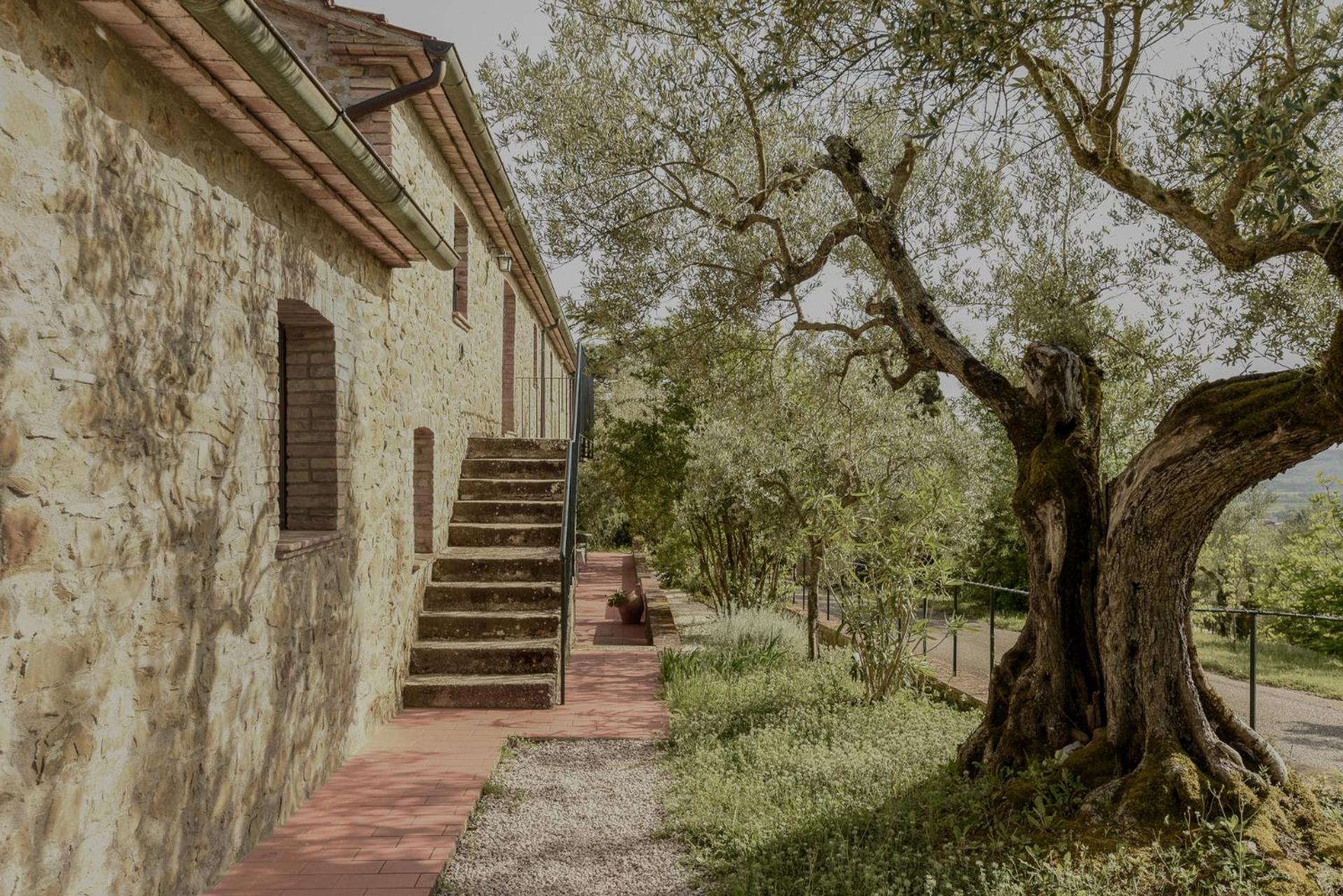 Agriturismo Il Mulino Delle Canutole マジョーネ エクステリア 写真
