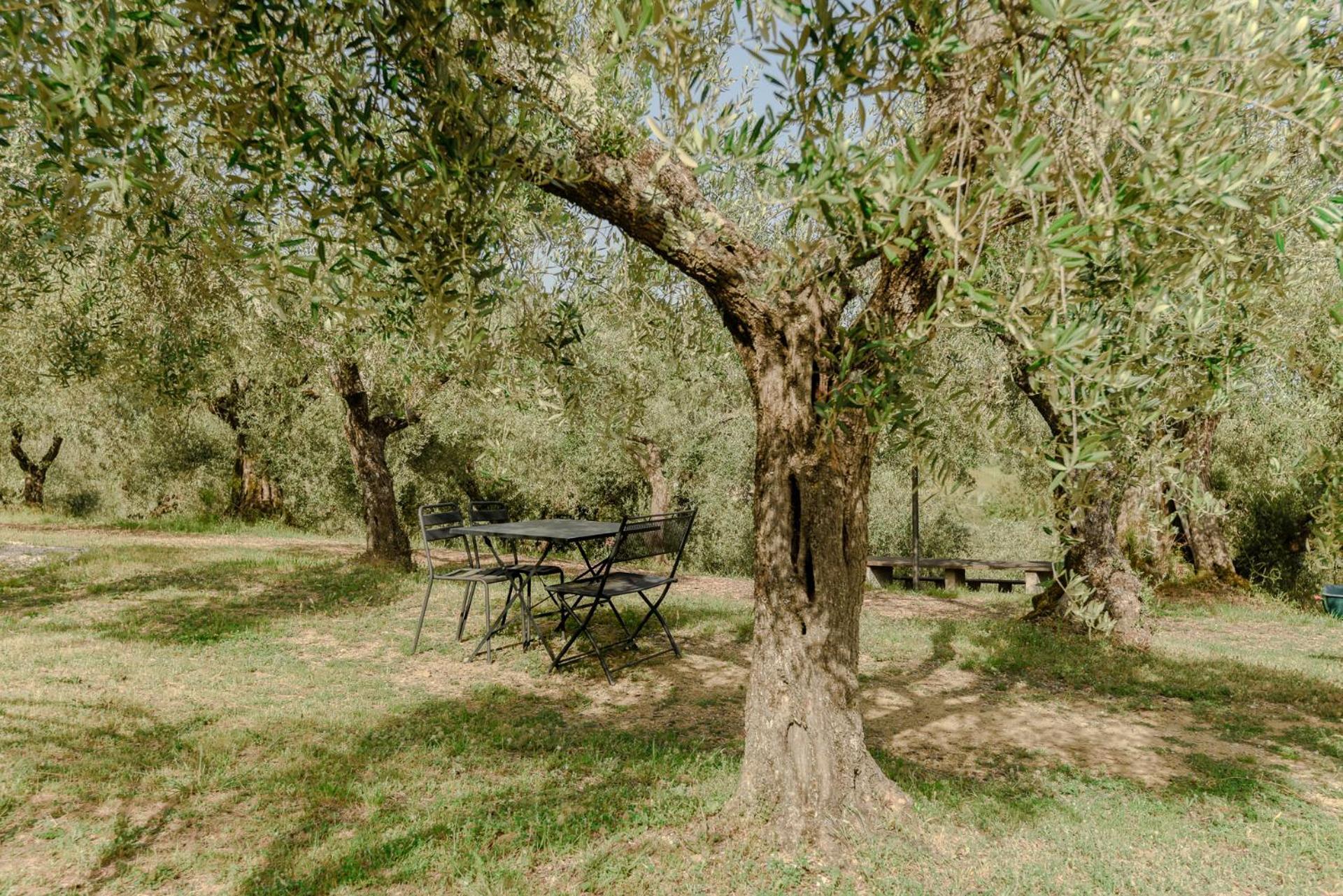 Agriturismo Il Mulino Delle Canutole マジョーネ エクステリア 写真